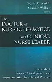 The Doctor of Nursing Practice and Clinical Nurse Leader