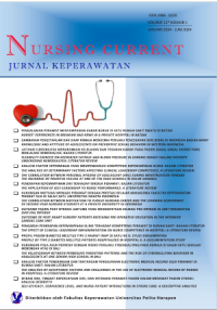 Nursing Current Journal Vol 12, No 1 (2024)