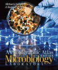 A Photographic atlas for the microbiology laboratory. Edition 4
