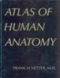 Atlas of human anatomy