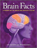 Brain facts - A primer on the brain and nervous system
