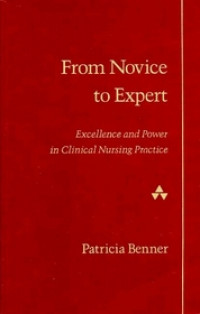 From novice to expert : Excellence and power in clinical nursing practice