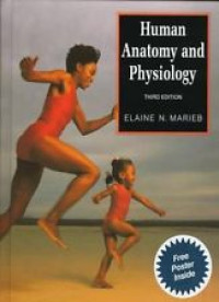 Human anatomy and physiology