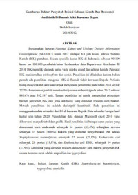 Gambaran Bakteri Penyebab Infeksi Saluran Kemih Dan Resistensi Antibiotik Tahun 2020 Di Rumah Sakit Kawasan Depok