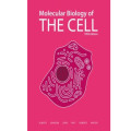 Molecular biology of the cell. Edition 5