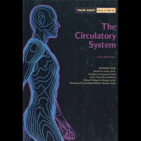 The circulatory system