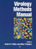 Virology methods manual