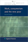 Work, Consumerism and the New Poor (Issues in Society) 2nd Edition