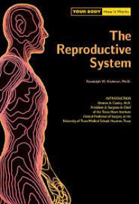 Your body, how it works - The Reproductive system