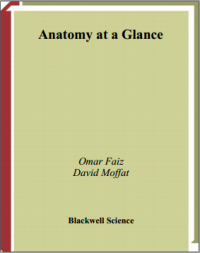 Anatomy At A Glance