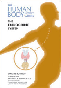 The endocrine system