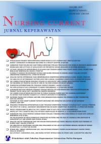 Image of Nursing Current Journal Vol 12, No 1 (2024)