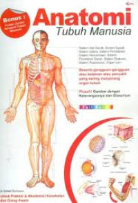 Image of Anatomi tubuh manusia