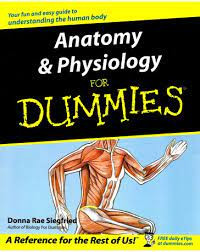 Image of Anatomy and physiology for dummies - a reference for the rest of us