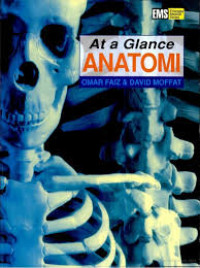 Image of At a glance anatomi