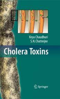 Image of Cholera Toxins