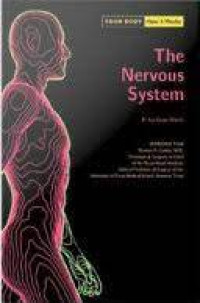 Image of Your body, How it works - The nervous system