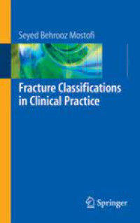 Image of Fracture classifications in clinical practice