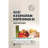 Image of Gizi kesehatan reproduksi : Buku saku bidan