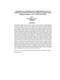 Image of PEMERIKSAAN MAKROSKOPIK, MIKROSKOPIK, DAN UJI SKRINING FITOKIMIA BUNGA KECOMBRANG MERAH MUDA (Etlingera elatior) YANG TUMBUH DI DEPOK