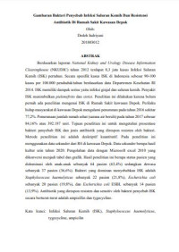 Image of Gambaran Bakteri Penyebab Infeksi Saluran Kemih Dan Resistensi Antibiotik Tahun 2020 Di Rumah Sakit Kawasan Depok