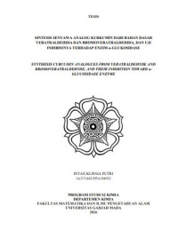 Image of Tesis - SINTESIS SENYAWA ANALOG KURKUMIN DARI BAHAN DASAR VERATRALDEHIDA DAN BROMOVERATRALDEHIDA, DAN UJI INHIBISINYA TERHADAP ENZIM α-GLUKOSIDASE
