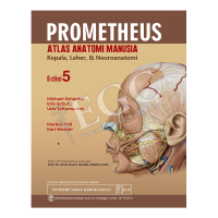 Image of Prometheus - Atlas anatomi manusia Kepala, Leher dan Neuroanatomi. Edisi 5