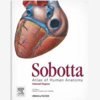 Image of Sobotta Atlas of Human Anatomy: Internal Organs, 15th Edition