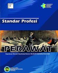 Image of Standar Profesi perawat