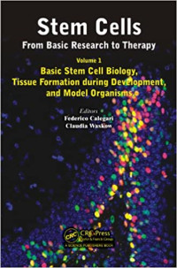 Image of Stem Cells from basic research to therapy. Basic stem cell biology, Tissue formation during development, and model organisms. Volume 1
