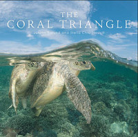 Image of The coral triangle