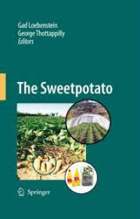 Image of The sweet potato