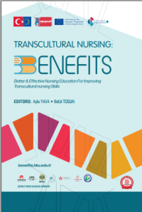 Image of Transcultural Nursing : Benefits Better & Effective Nursing Education for Improving Transcultural Nursing Skills