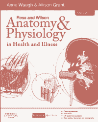 Image of Ross and Wilson Anatomy and Psysiology In Health and Illness 12th Edition