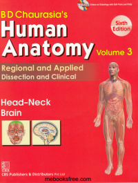 Image of Human anatomy - regional and applied dissection and clinical. Edisi 6 volume 3