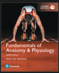 Image of Fundamentals of anatomy and physiology. Edition 11
