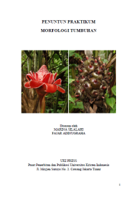 Image of PENUNTUN PRAKTIKUM  MORFOLOGI TUMBUHAN