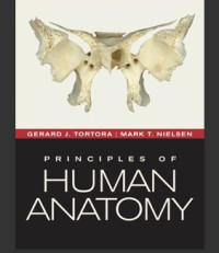 Image of Principles of Human Anatomy. Edisi 12